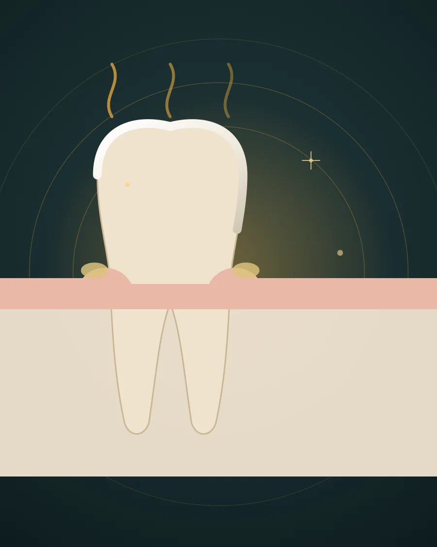 Illustration of a tooth with plaque at the gum line and wavy gold lines rising above it to show an unpleasant smell, drawn in Elite Dental gold and charcoal