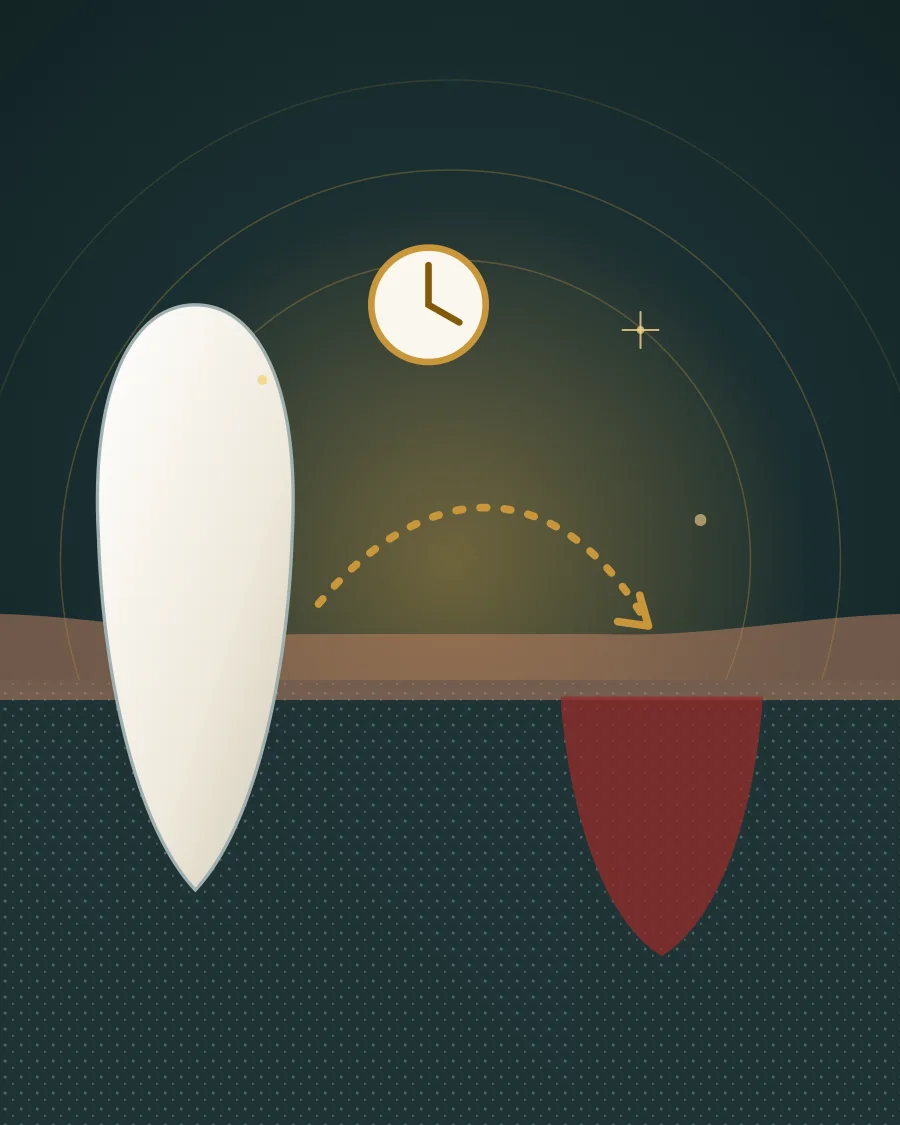 Illustration of a knocked-out tooth beside its empty socket with a dotted arrow showing it going back and a clock showing that time matters, drawn in Elite Dental gold and charcoal