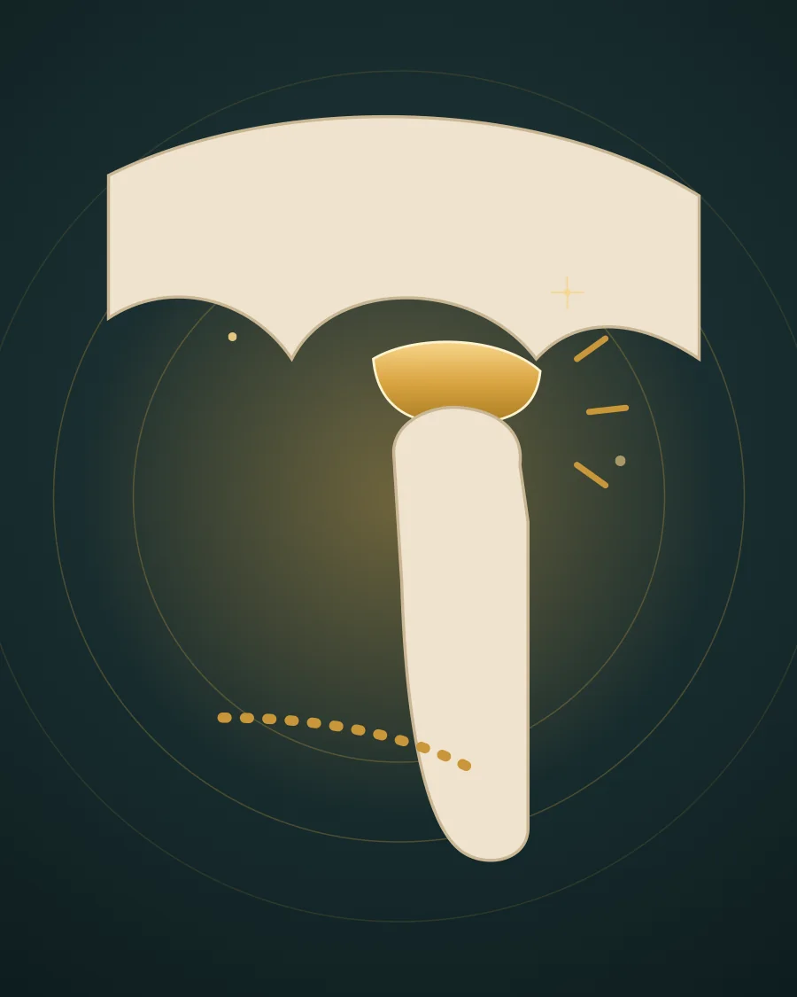 Illustration of the jaw joint in side view with short gold lines showing where pain is felt, drawn in Elite Dental gold and charcoal