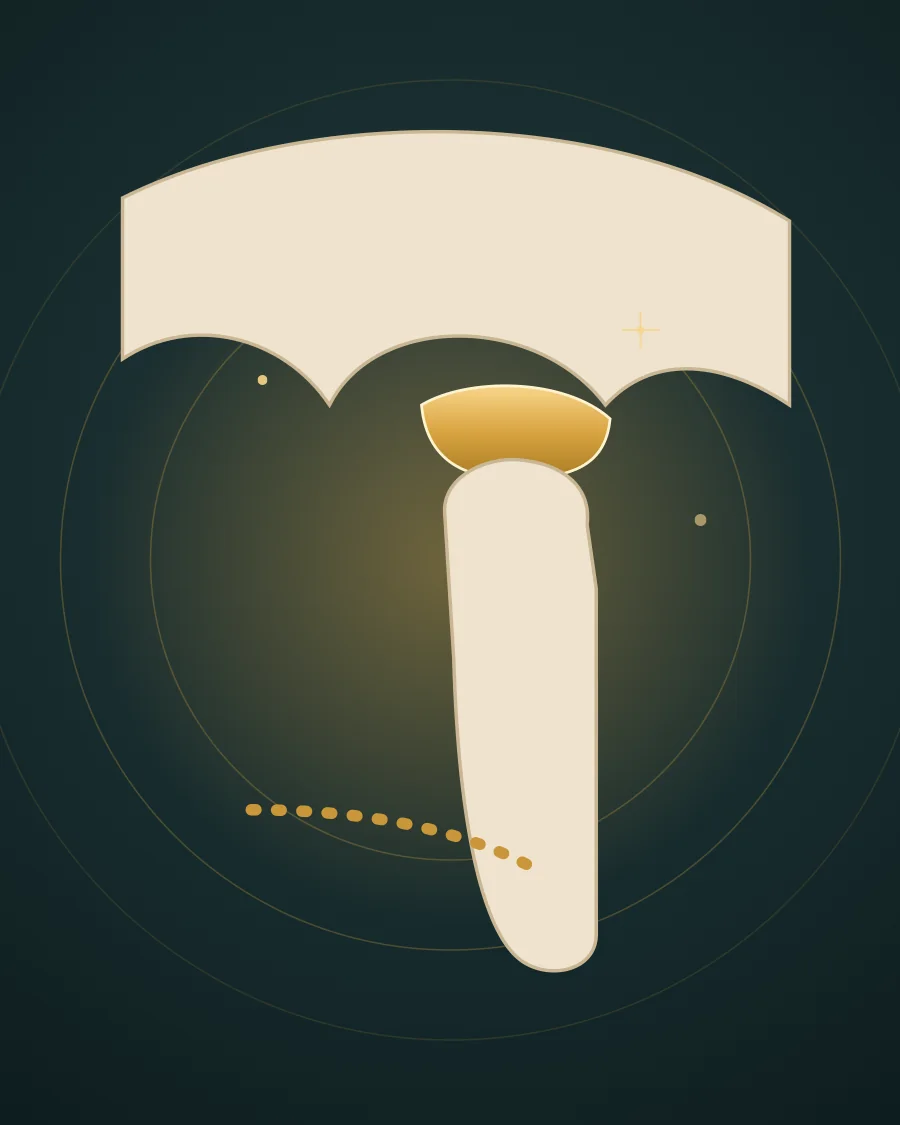Illustration of the jaw joint in side view with the skull, the cushioning disc and the rounded head of the lower jaw, drawn in Elite Dental gold and charcoal